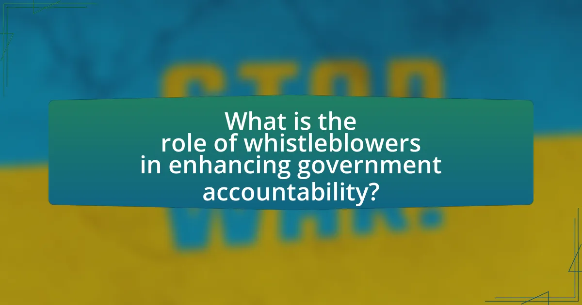What is the role of whistleblowers in enhancing government accountability?